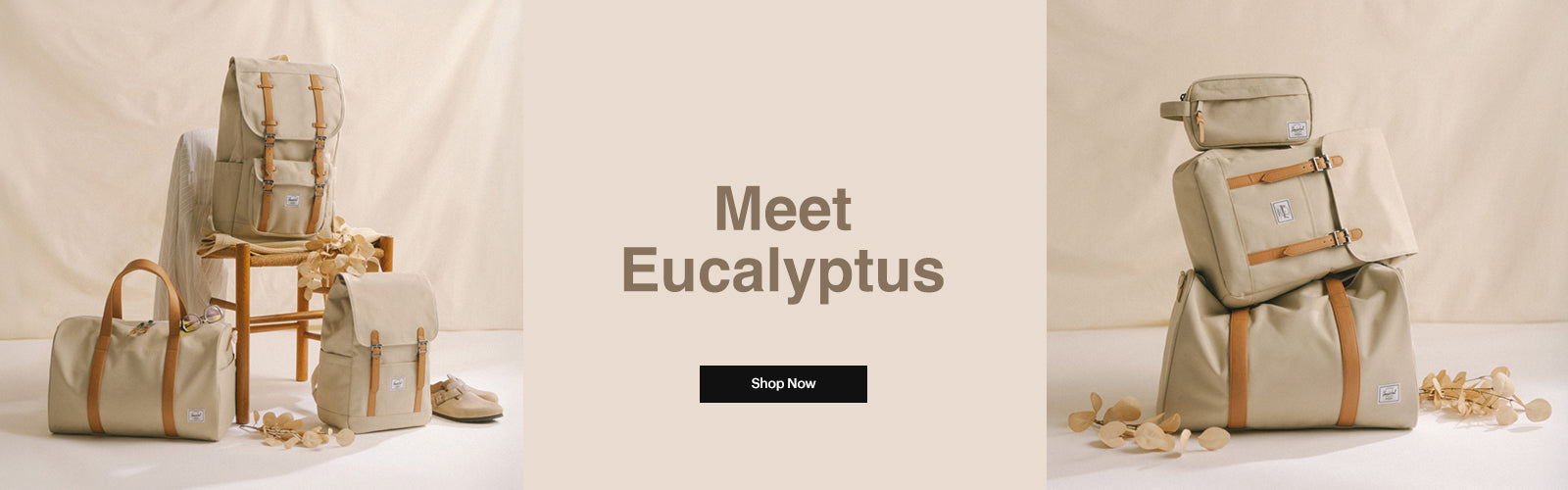 HSC_DC_Eucalyptus_PC.jpg